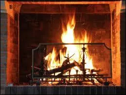 tre : partie de la chemine o l'on fait le feu.
