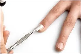 Cuticule : terme d'anatomie, piderme.