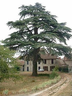 Quiz Nature, cologie