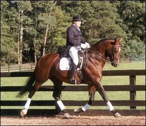 A quelle allure va ce cheval ?