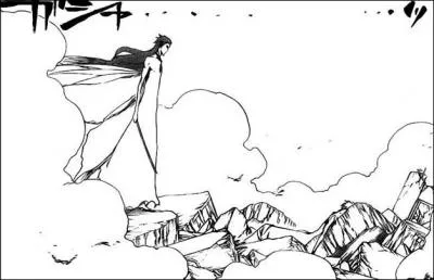 Qui est sur l'image ? (Bleach) ps : agrandir