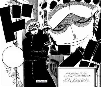 Qui est-il ? (One Piece)