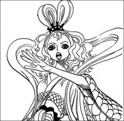 Qui est-ce ? (One Piece)