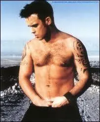 Quel chanteur a dbut sa carrire avec le groupe  Take That  ?