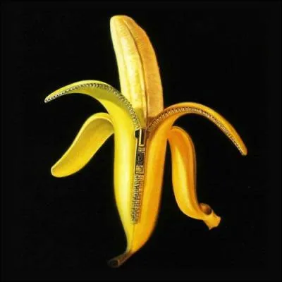 Cet album est à quel groupe ?