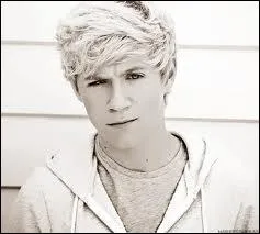 Quel est le morceau sur lequel Niall chante :   It hurts me to think that you've ever cried  ?