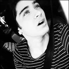 De quelle origine est Zayn ?