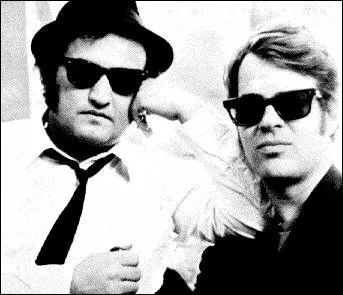 Comment se nommait le groupe que plusieurs membres des Blues Brothers avaient form, aprs s'tre spars de Jake et Elwood ?