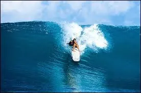 Comment s'appelle cette discipline sportive ?