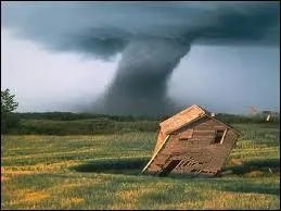 Quelle phrase est bien orthographie ?