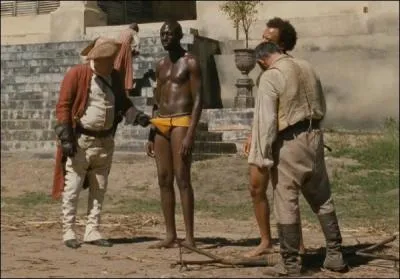 Quel est ce film de Lionel Skeketee, sorti en 2011 ?