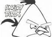 Quiz Angry Birds