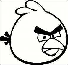 Quelle est la couleur de cet oiseau ?