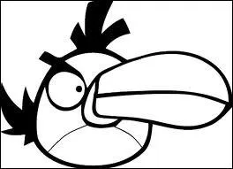 Quelle est la couleur de cet oiseau ?