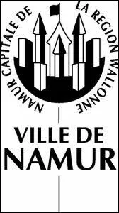 Quels talents sont originaires de la province de Namur ?