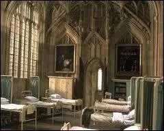 Que garde Hermione sous son oreiller lors de son premier sjour  l'infirmerie ?