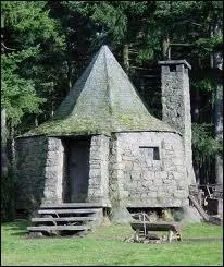 Pendant quel cours Harry et Ron voient-il enfin des araignes ?