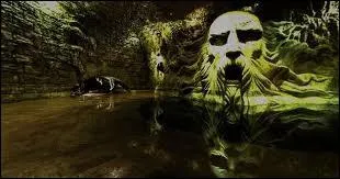 Qui est enferm dans la Chambre des secrets ?