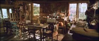 Quels livres Harry voit-il sur le manteau de la chemine du  Terrier  ?