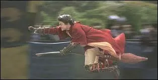 Que se lancent Harry, Ron, Fred et George lorsqu'ils s'entranent au Quidditch ( sur la colline) ?