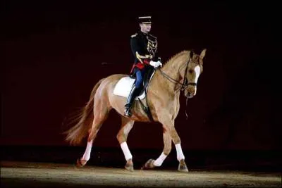 Quelles sont les aides artificielles ?