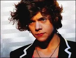 Harry Styles a combien de frres ?