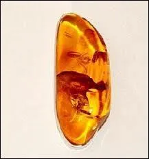 Qu'est-ce que c'est ?