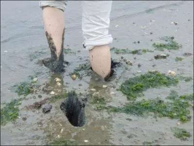 Je ne sais pas si mettre les pieds dedans porte bonheur. En tout cas, lors d'une longue promenade c'est un peu embtant de s'y retrouver embourb(e).