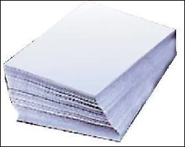 Noircir autant de pages, je ne sais pas si je saurais faire, atteinte de la crampe de l'crivain sans doute, l'angoisse de la page blanche, ou le manque d'inspiration plutt.