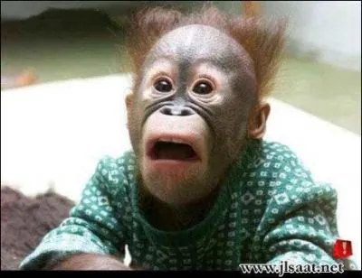 Pourquoi dit-on ''payer en monnaie de singe' ? Pour le faire, vous devez -------------------.