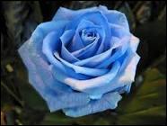 Comment dit-on BLEU en anglais ?