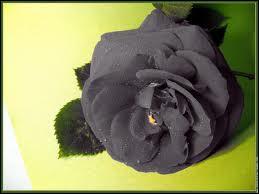 Comment dit-on GRIS en anglais ?