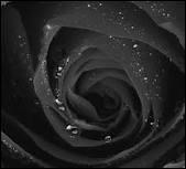 Comment dit-on NOIR en anglais ?