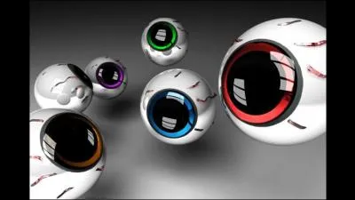 Berk, les gros yeux ! Quel est l'intrus ?