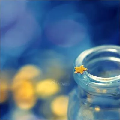 Qu'est-ce qui est reprsent en jaune et tout mignon ?