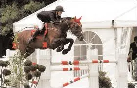 Quelles sont les deux premires phases du saut ?