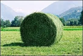 Quelles sont les 2 familles d'aliments ?