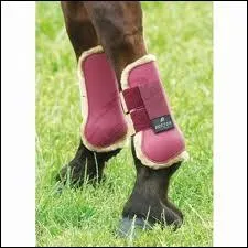 Nous protgeons les tendons et l'ensemble du boulet. Nous sommes :