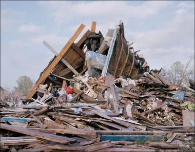 Si vous dtruisez sa maison, cet animal vous attaque en projetant de l'acide !