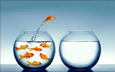 Si nous suivons la prochaine action, combien restera-t-il de poissons rouges dans le bocal de gauche ?