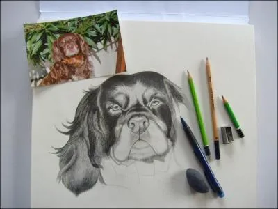 Avec combien d'objets cette personne a-t-elle russi  faire ce dessin ?