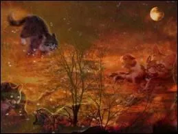 Il tait chat domestique et est devenu le chef le plus valeureux que son Clan ait connu. Qui est-ce ?