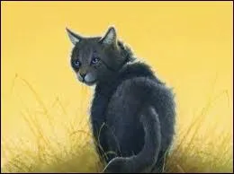 Elle a bris son serment de gurisseuse en faisant un chaton avec le chef de son Clan. Qui est-ce ?