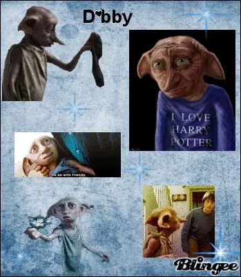 Comment s'appelle l'elfe de maison que Harry rencontre dans le tome 2 ?