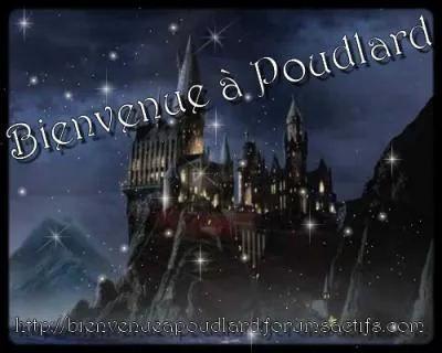 Comment s'appelle l'cole o vont les sorciers ?