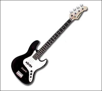 Quel est cet instrument de musique ?