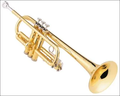 Quel est cet instrument de musique ?