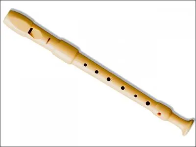 Quel est cet instrument de musique ?