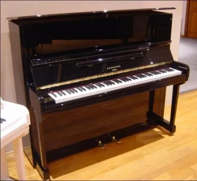 Quel est cet instrument de musique ?