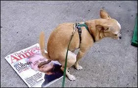 Si on fait comme lui, je suis Vi ...